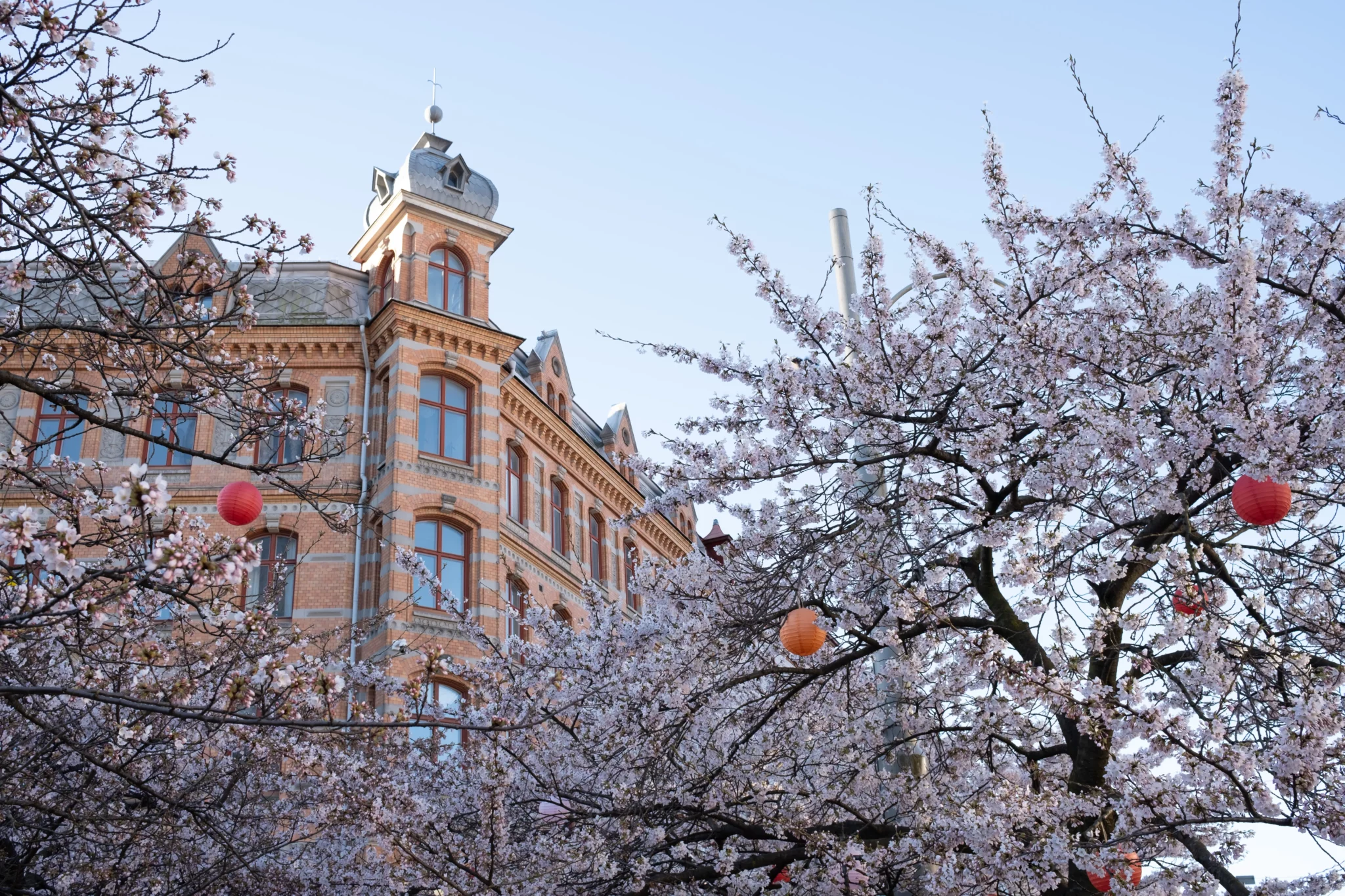 Foto Peter Kvarnström