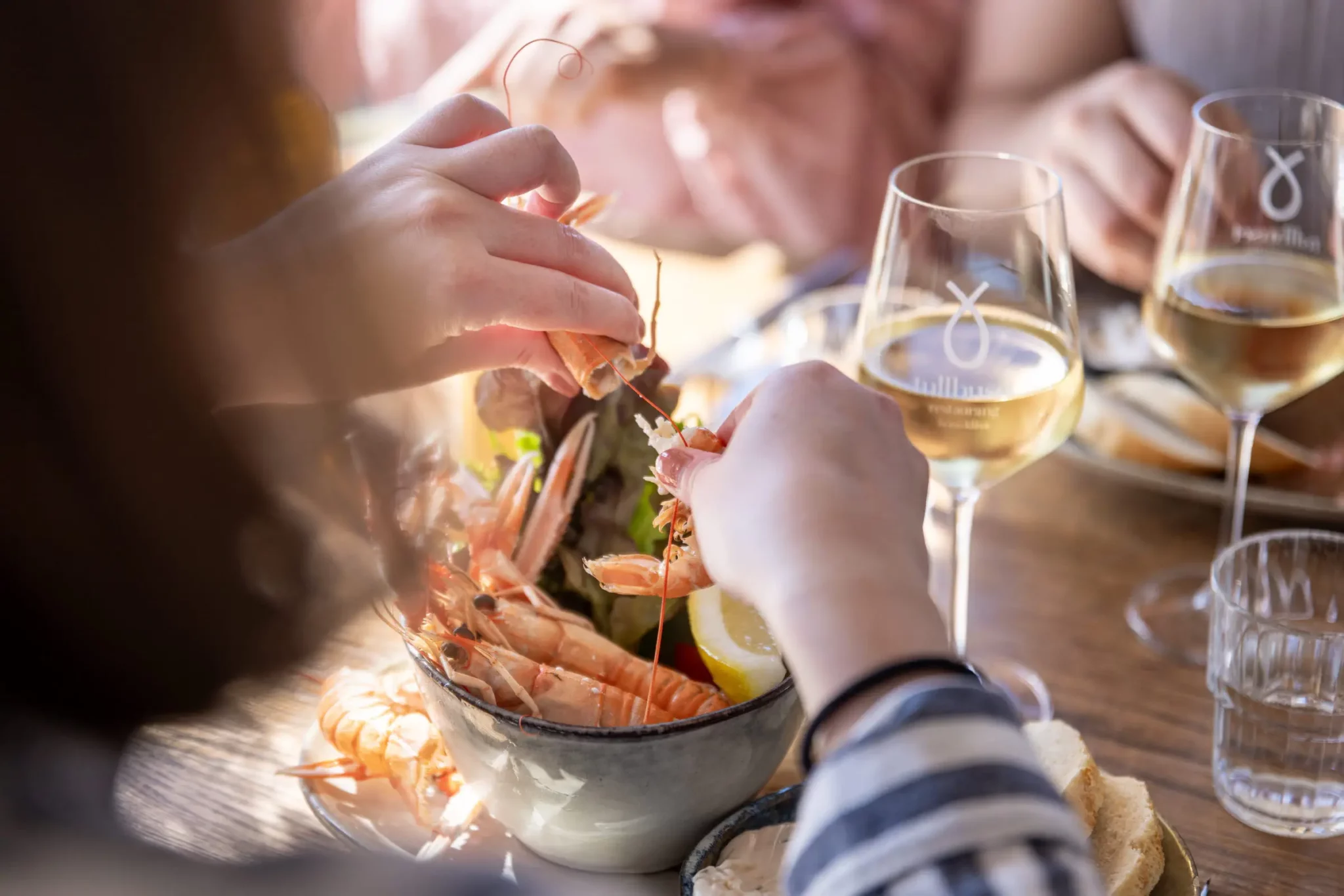 Photo Cred Anders Ersman