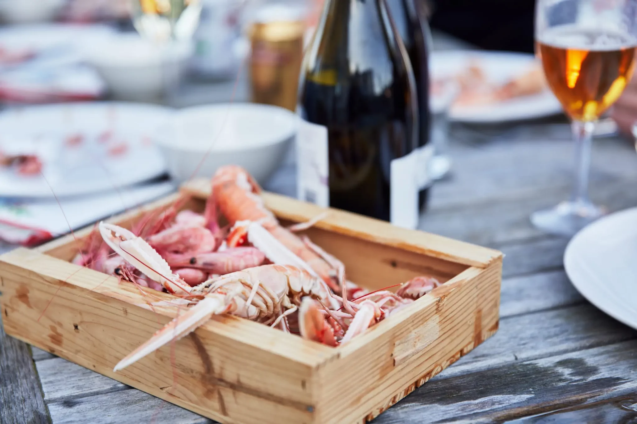 Photo Cred Jonas Ingman